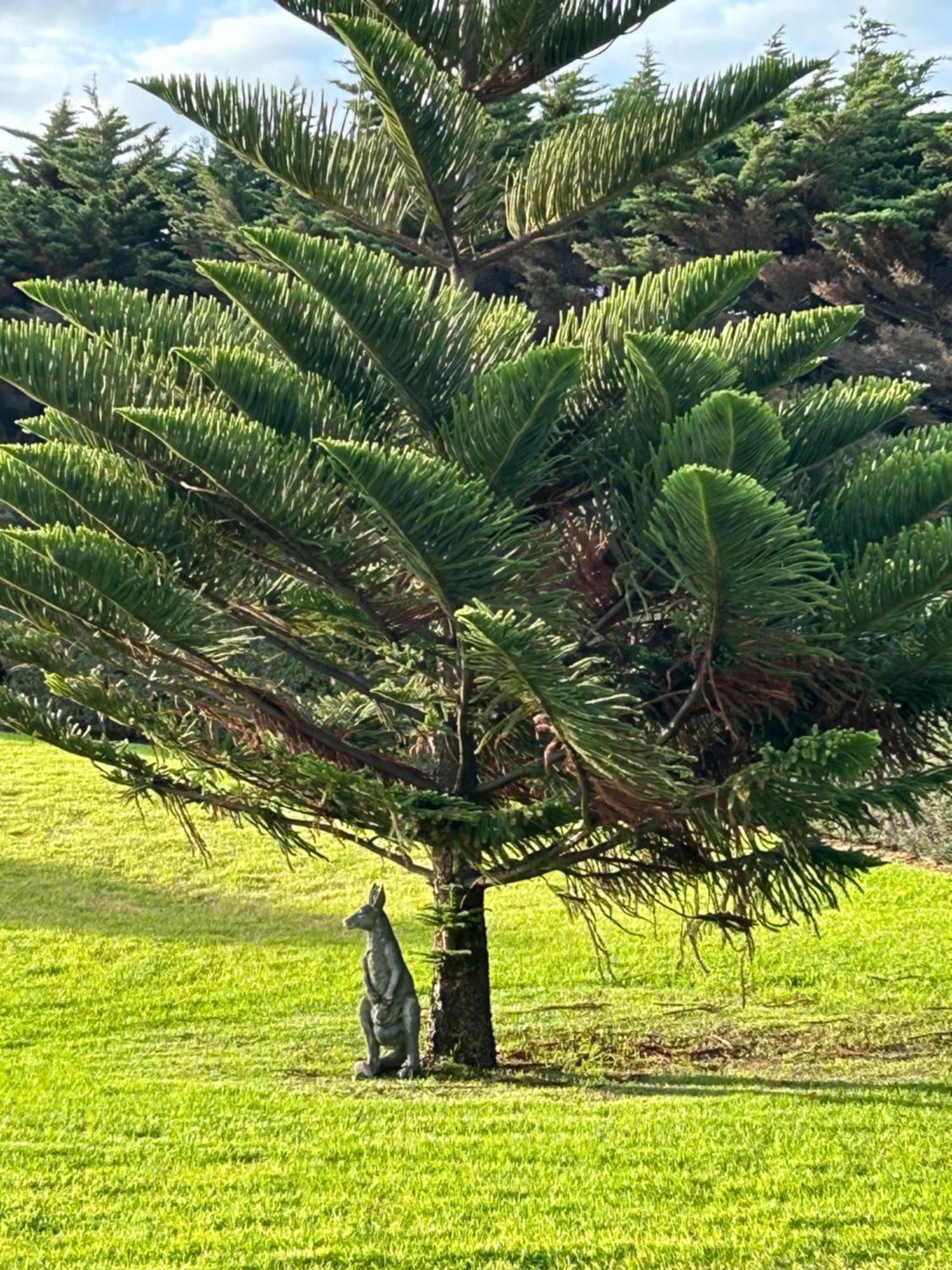 Nest - Charming, Comfortable Coastal Villa Port Fairy Luaran gambar